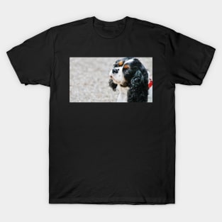 Jasper T-Shirt